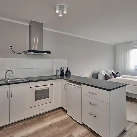 Apartment 1-room Near Frankfurt